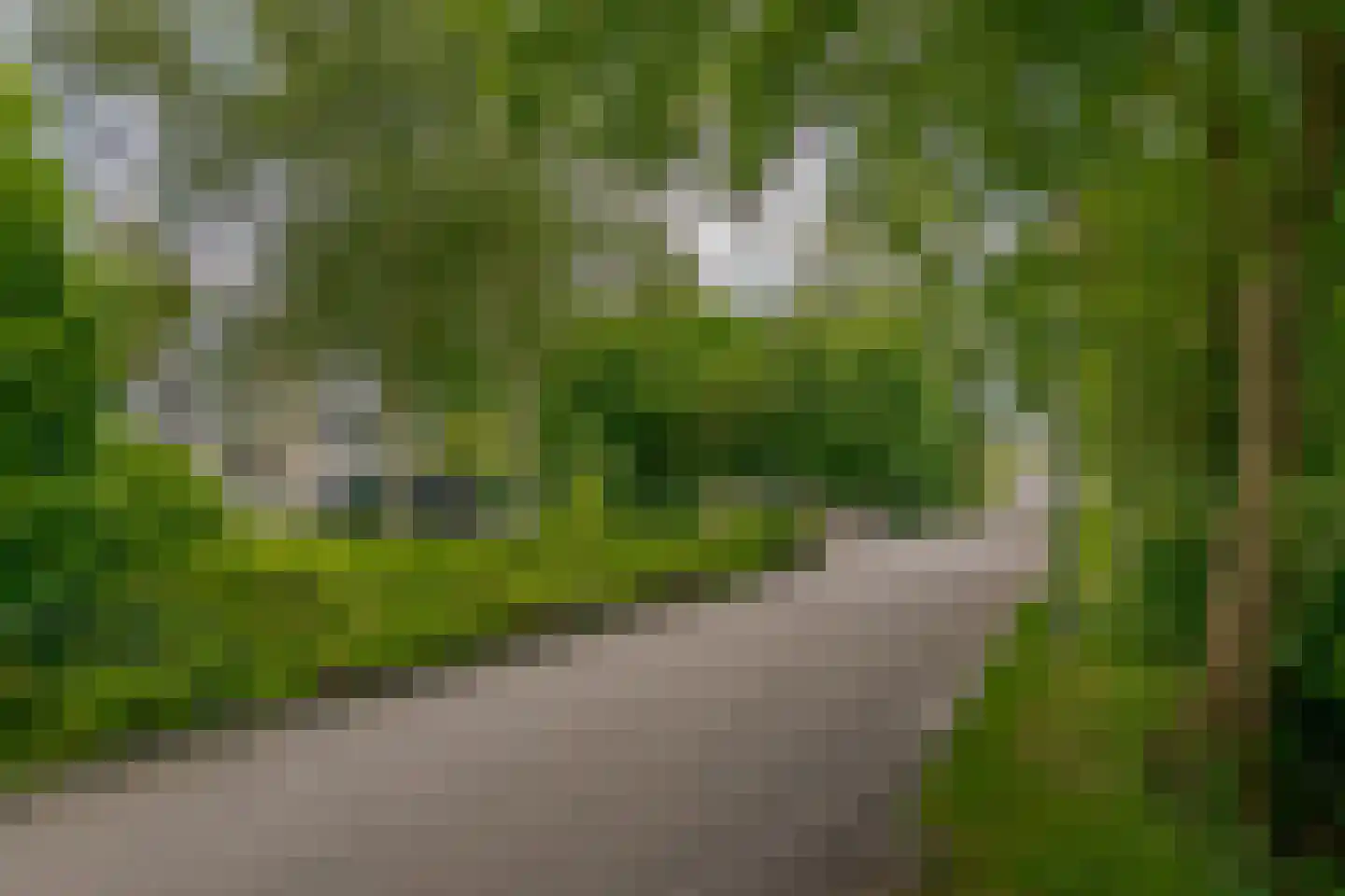 Roomsterweg 17 Leek thumbnail 41