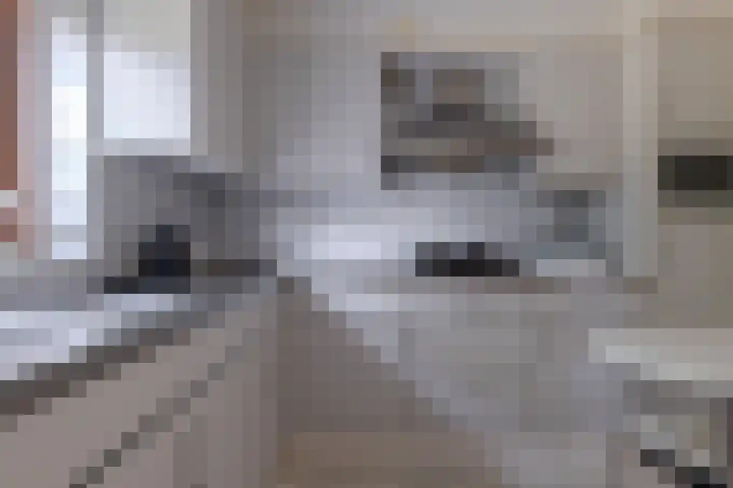 Roomsterweg 17 Leek thumbnail 44