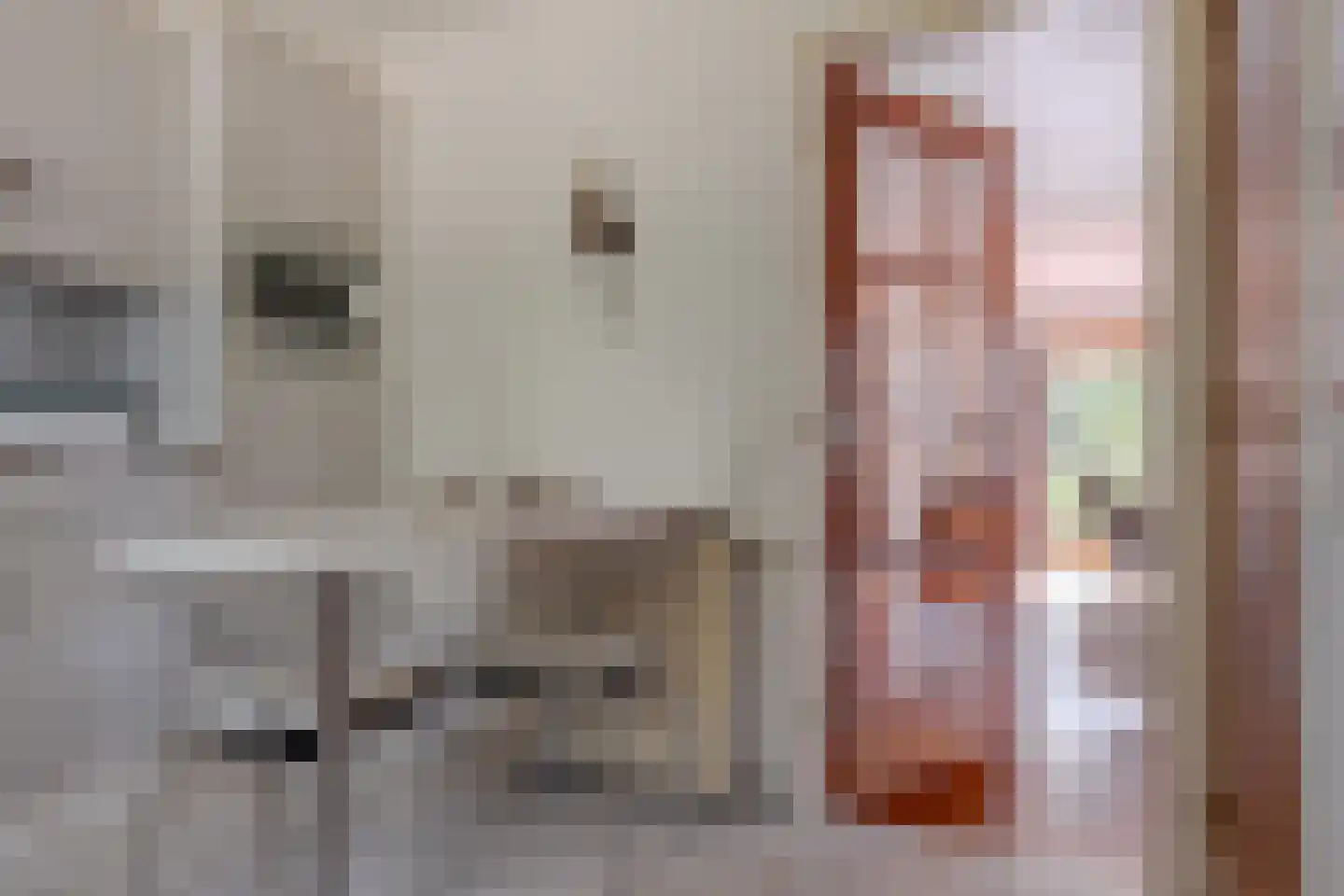 Roomsterweg 17 Leek thumbnail 45