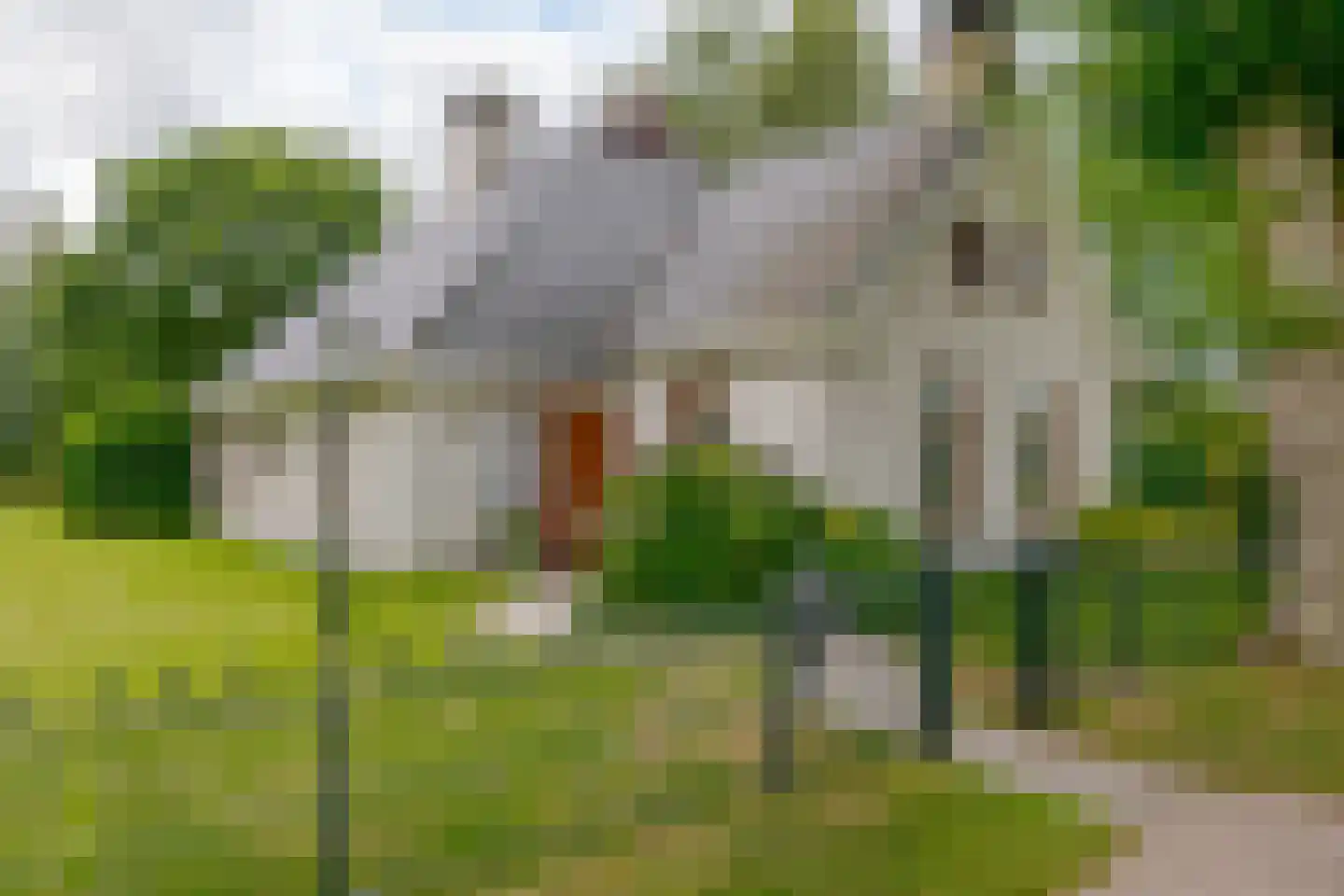 Roomsterweg 17 Leek thumbnail 5