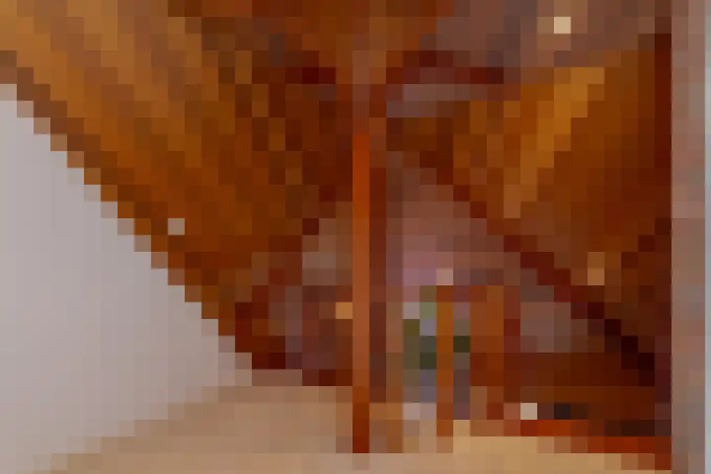 Roomsterweg 17 Leek thumbnail 55