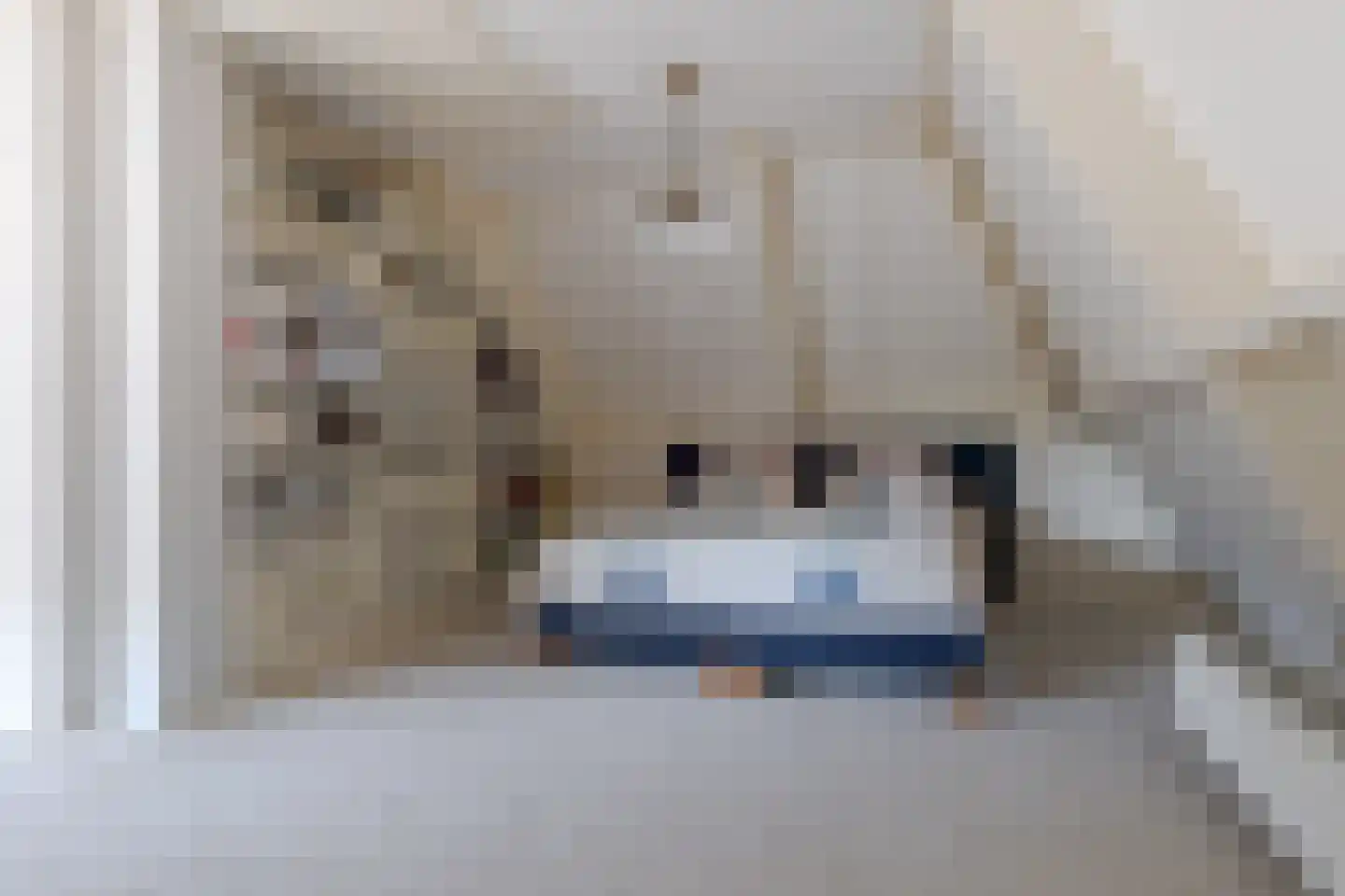 Roomsterweg 17 Leek thumbnail 58