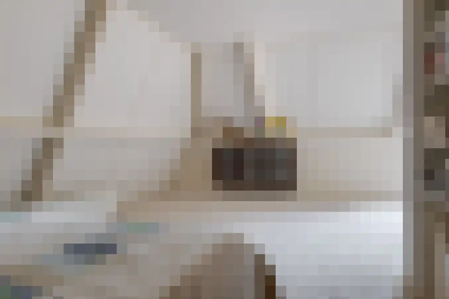 Roomsterweg 17 Leek thumbnail 59