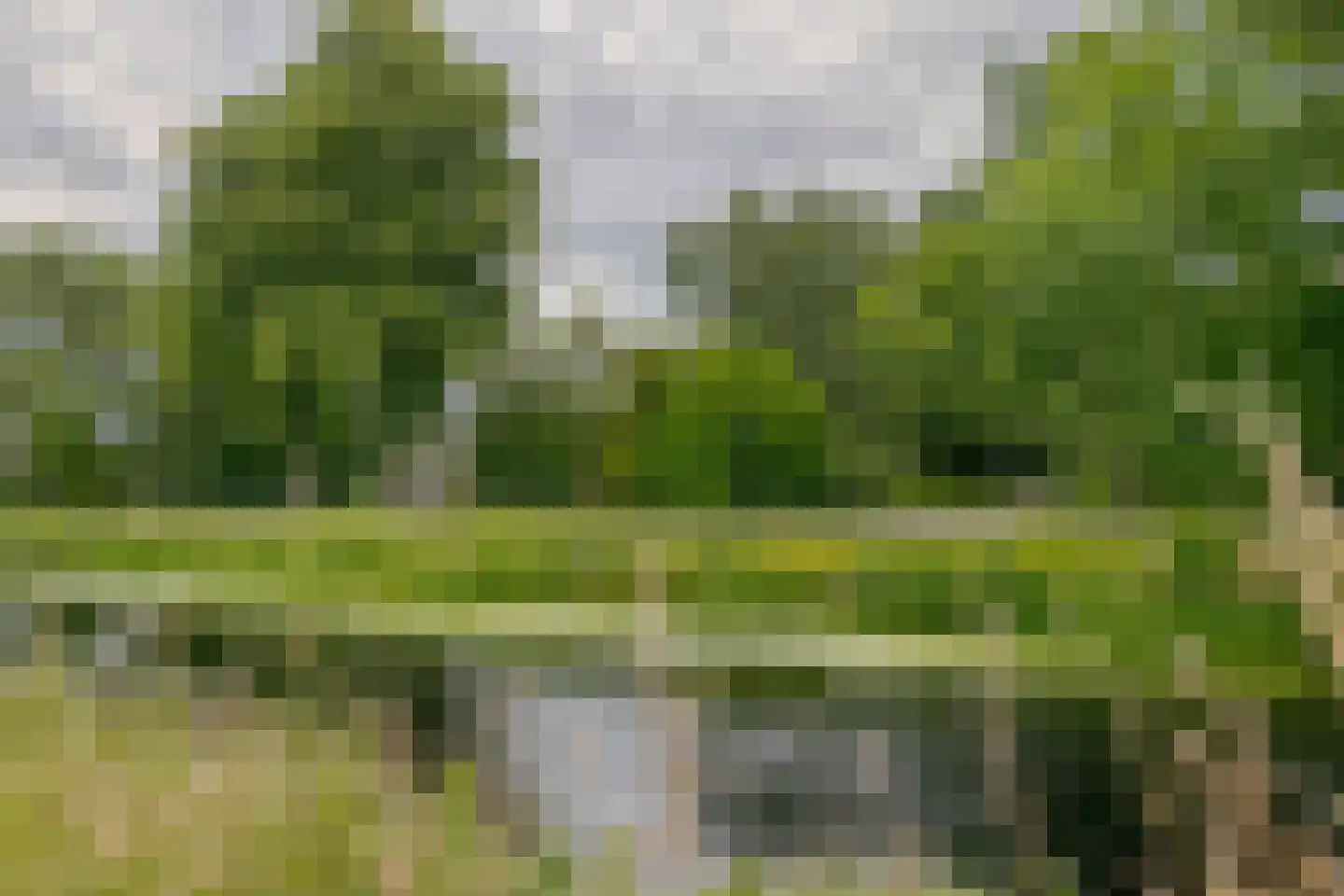 Roomsterweg 17 Leek thumbnail 6