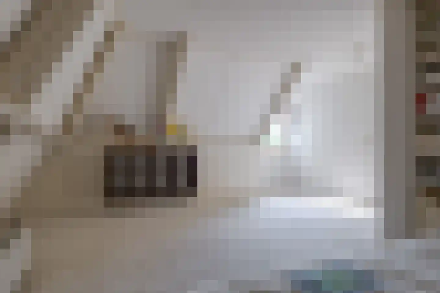 Roomsterweg 17 Leek thumbnail 60