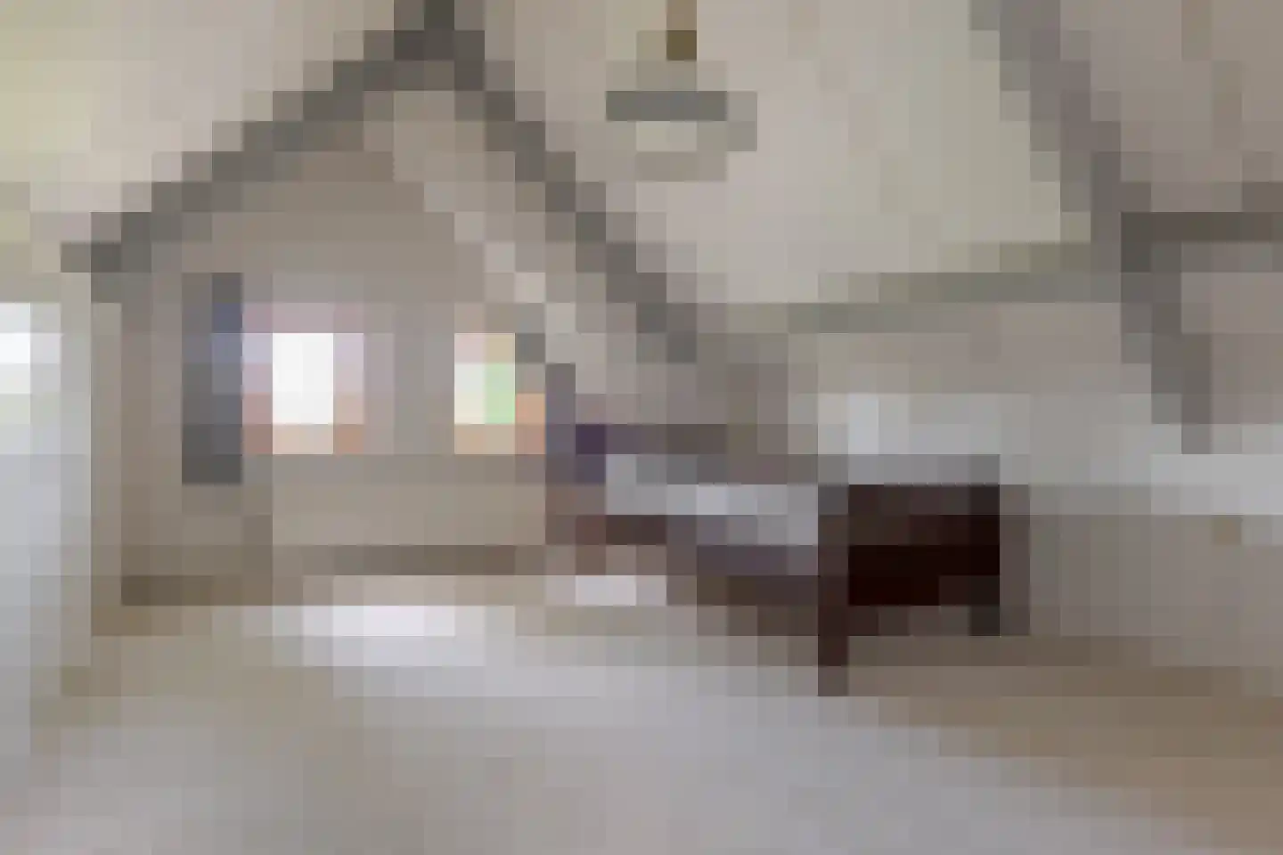Roomsterweg 17 Leek thumbnail 62