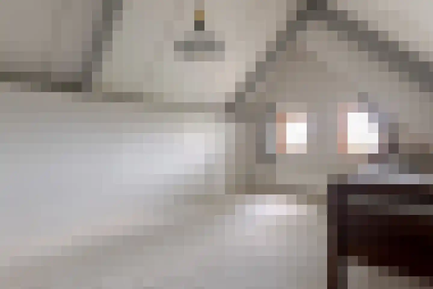 Roomsterweg 17 Leek thumbnail 63