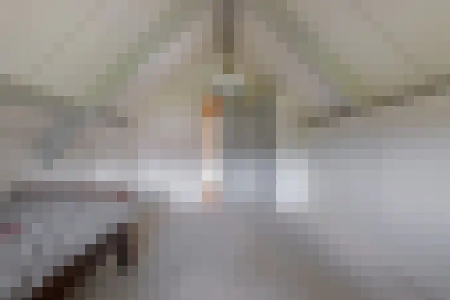 Roomsterweg 17 Leek thumbnail 64
