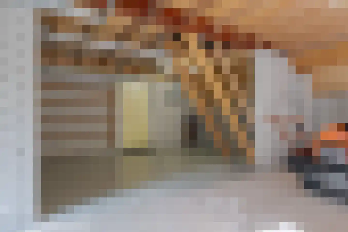Roomsterweg 17 Leek thumbnail 71