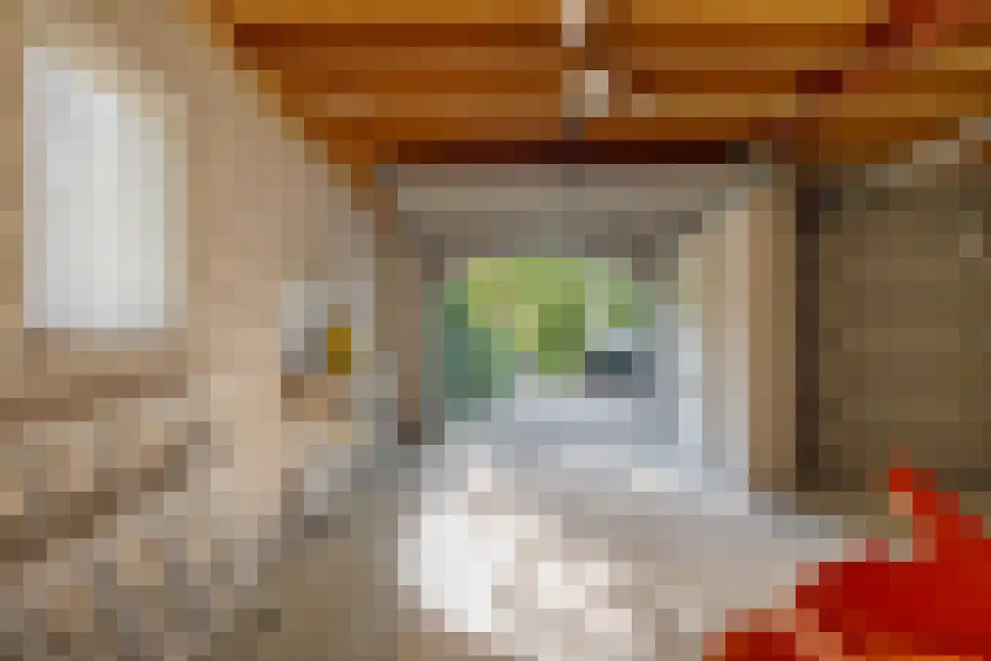 Roomsterweg 17 Leek thumbnail 73
