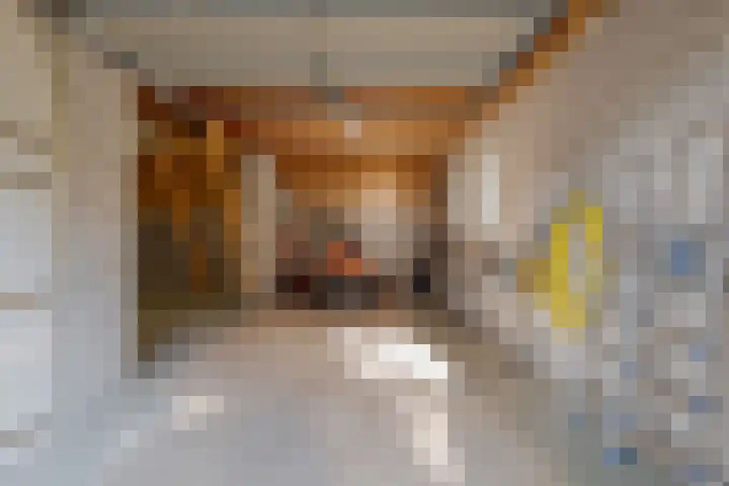 Roomsterweg 17 Leek thumbnail 74