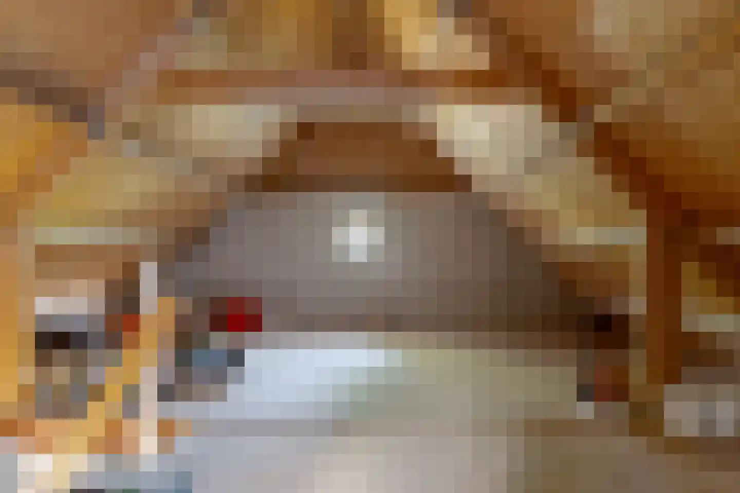 Roomsterweg 17 Leek thumbnail 76