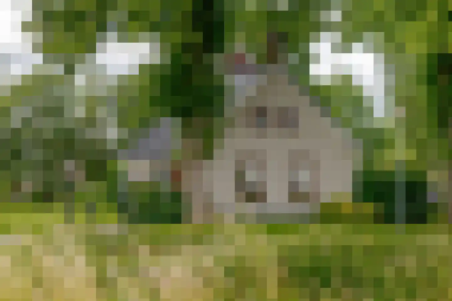 Roomsterweg 17 Leek thumbnail 8