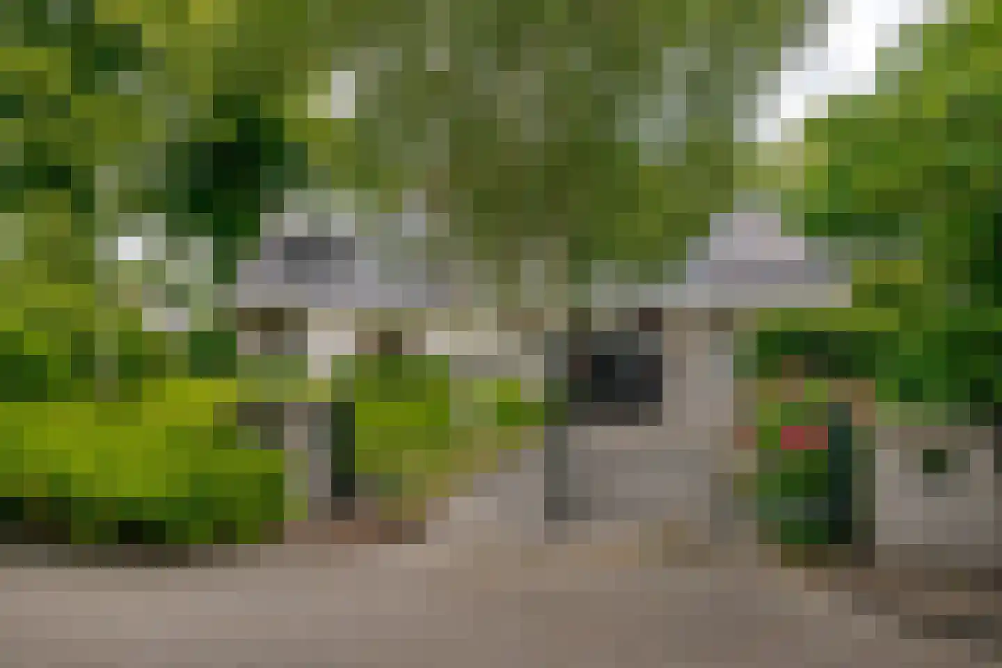 Roomsterweg 17 Leek thumbnail 9
