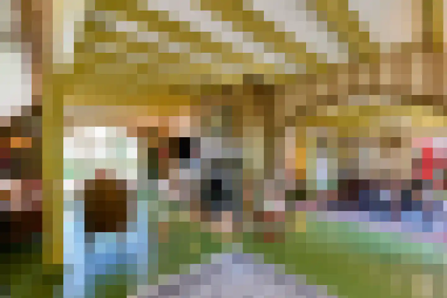 Roomsterweg 6 Leek thumbnail 12