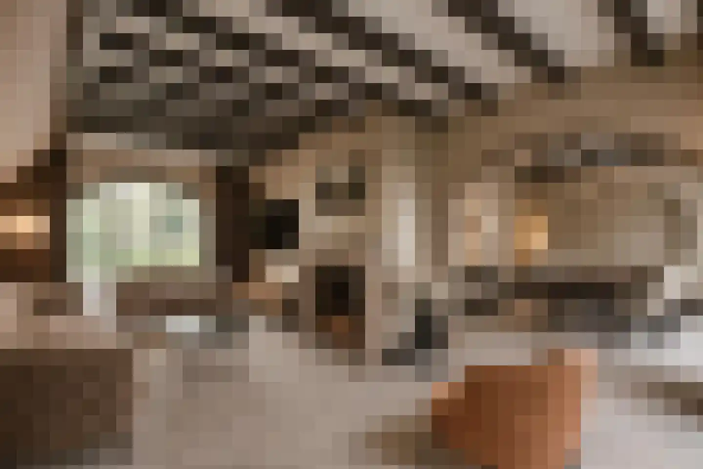 Roomsterweg 6 Leek thumbnail 13