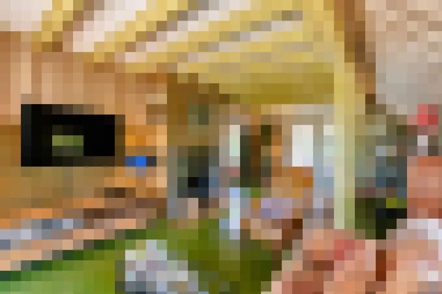 Roomsterweg 6 Leek thumbnail 14
