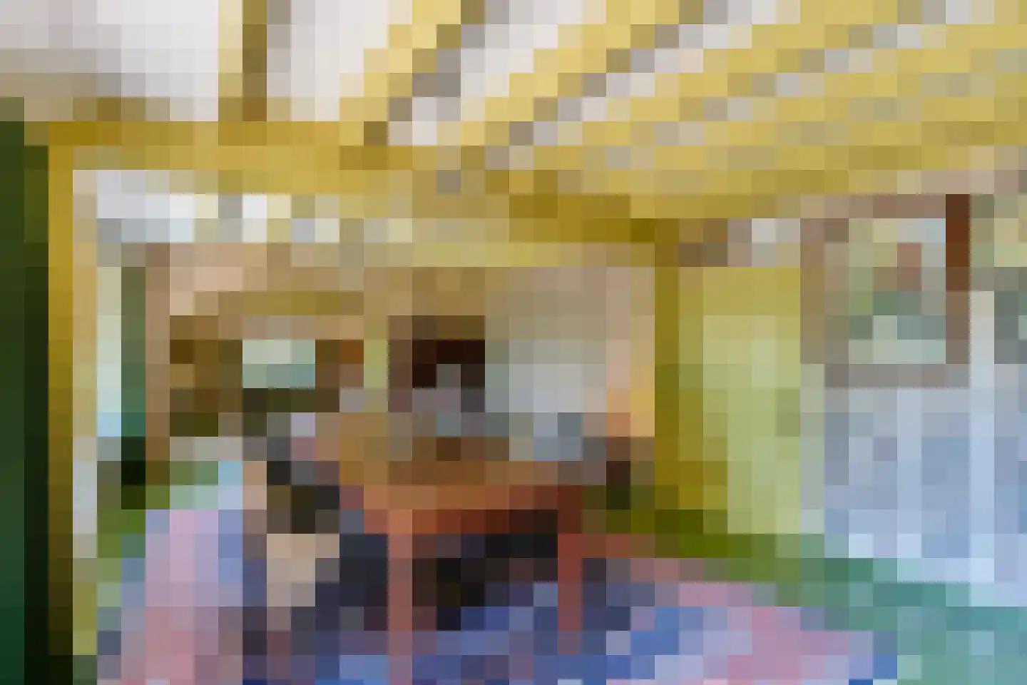 Roomsterweg 6 Leek thumbnail 15