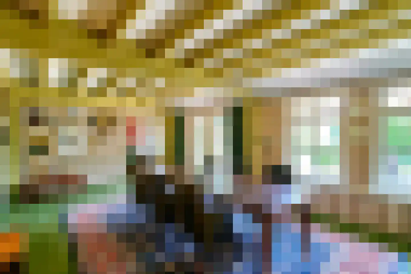 Roomsterweg 6 Leek thumbnail 18