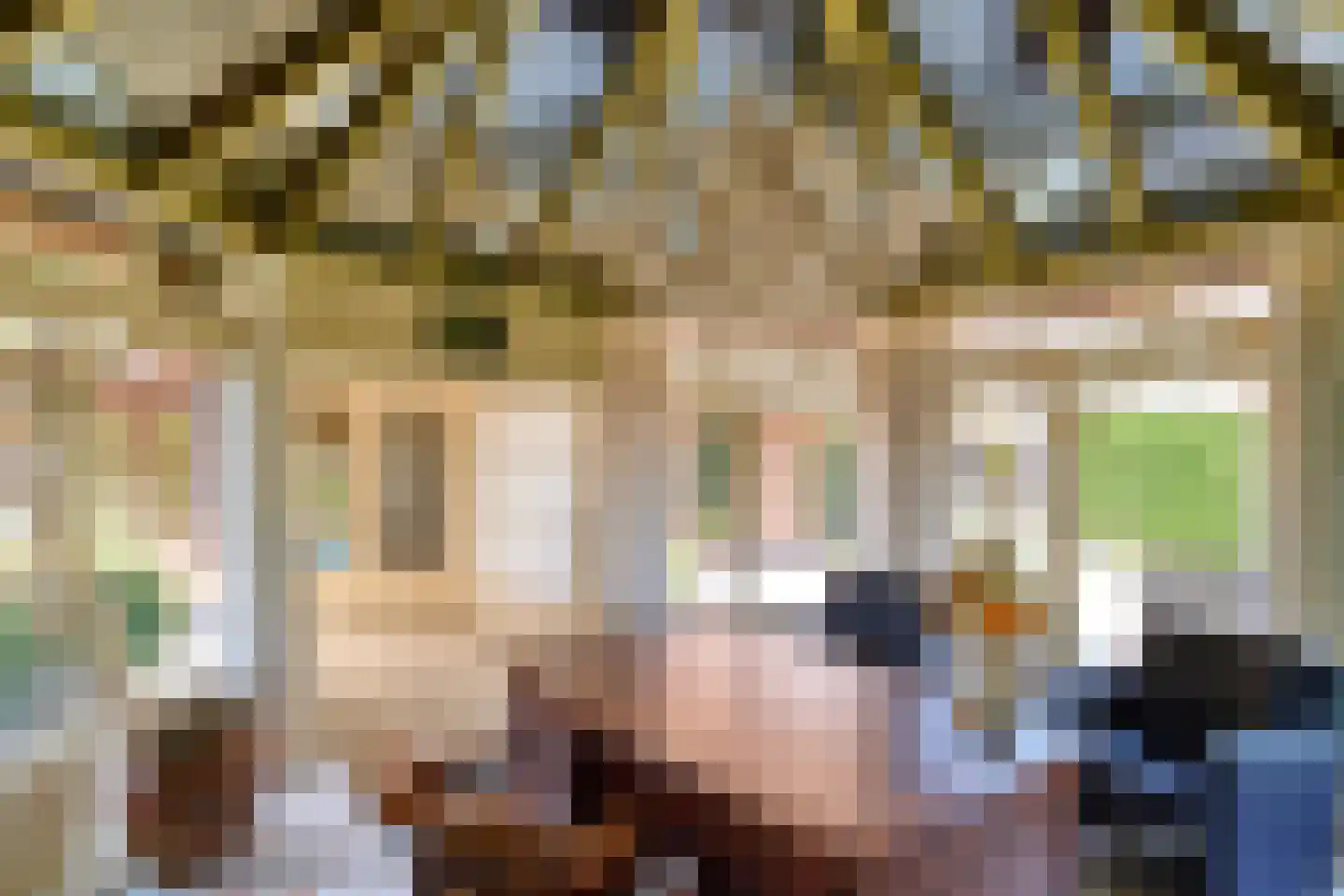 Roomsterweg 6 Leek thumbnail 25