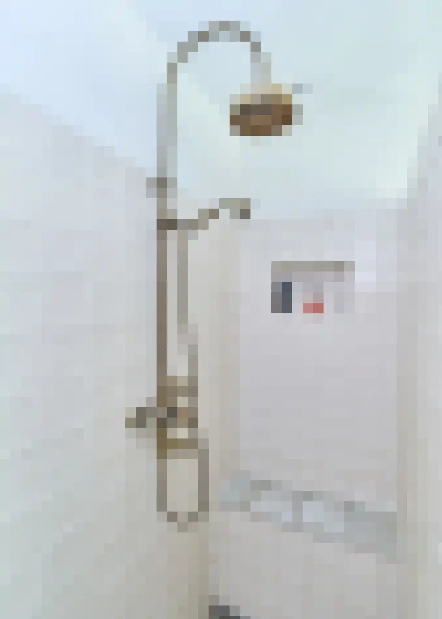 Roomsterweg 6 Leek thumbnail 33