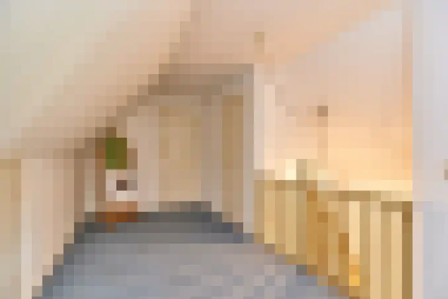 Roomsterweg 6 Leek thumbnail 37