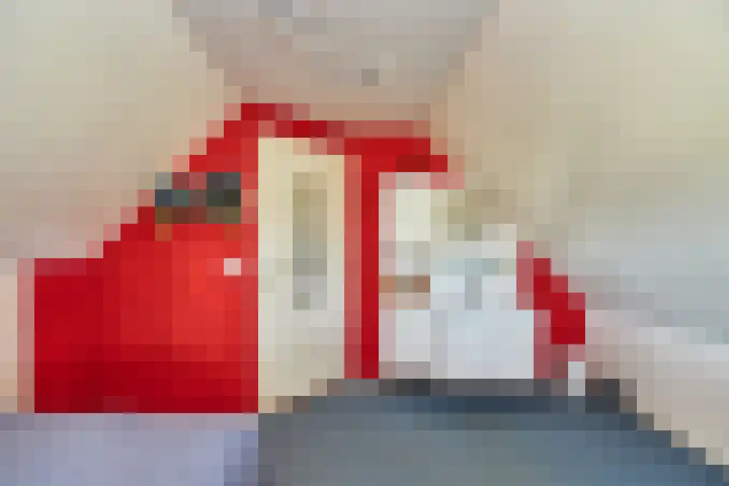 Roomsterweg 6 Leek thumbnail 39