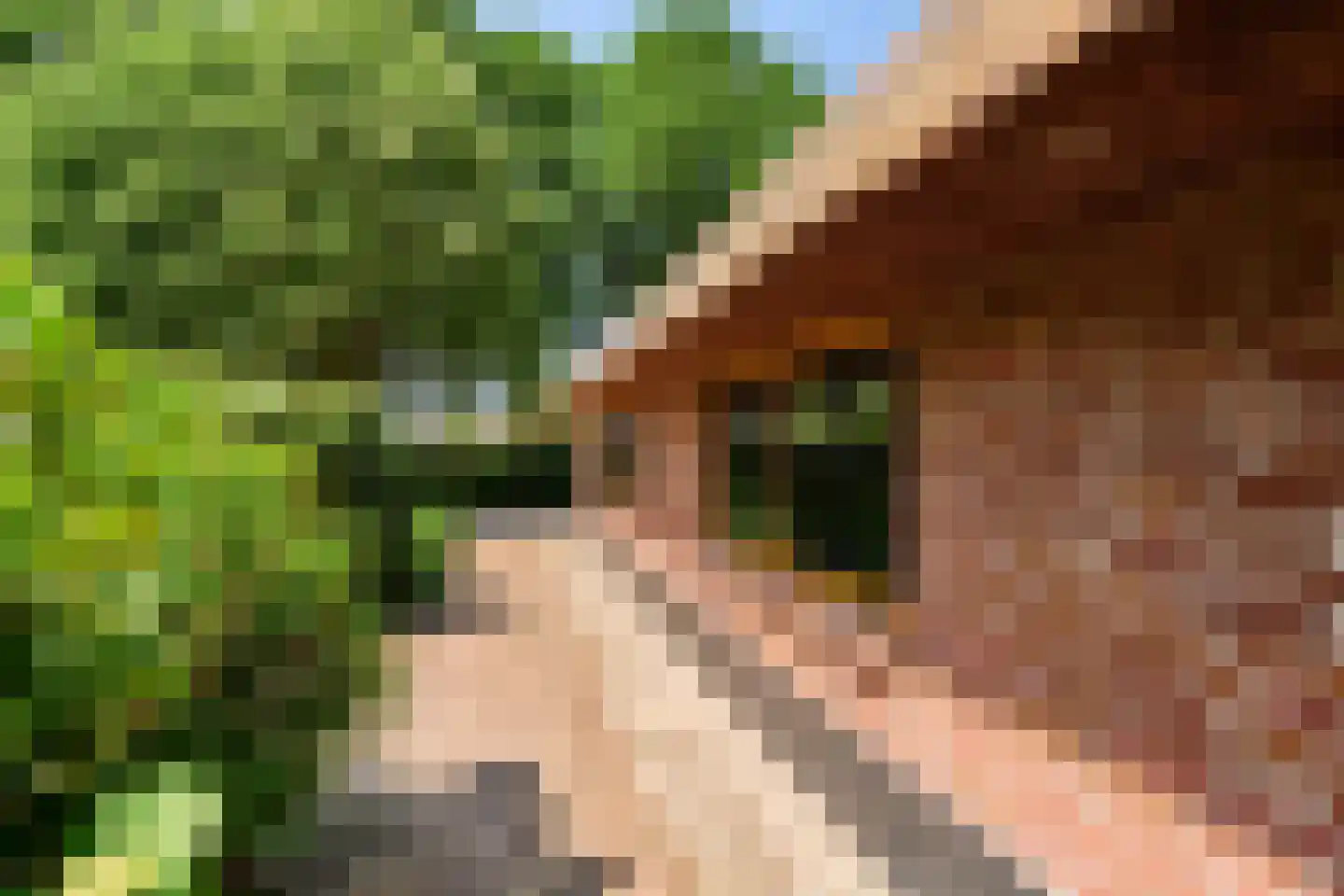 Roomsterweg 6 Leek thumbnail 46