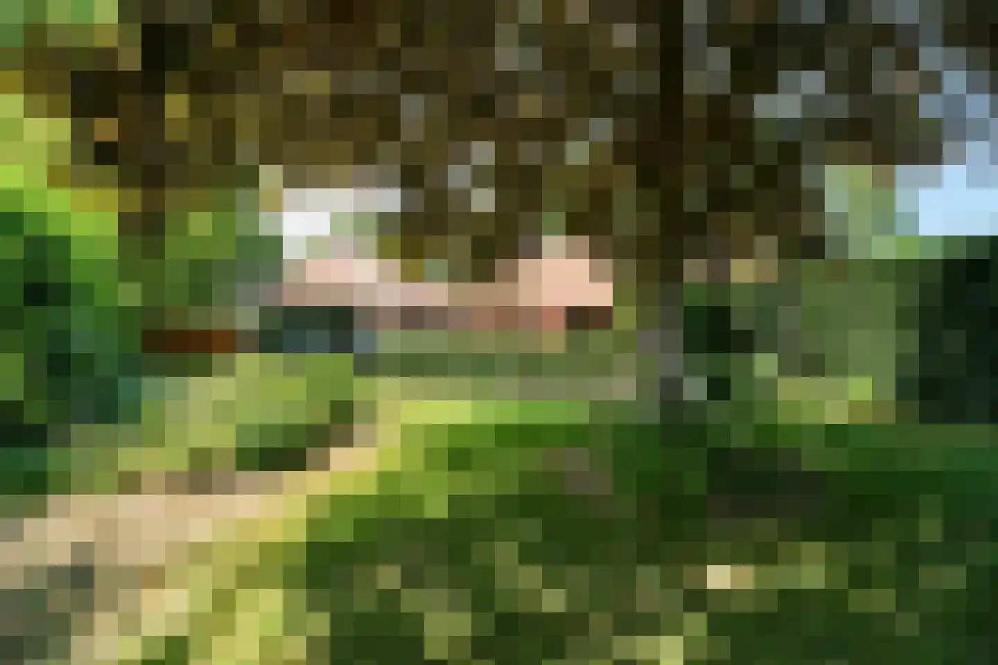 Roomsterweg 6 Leek thumbnail 47