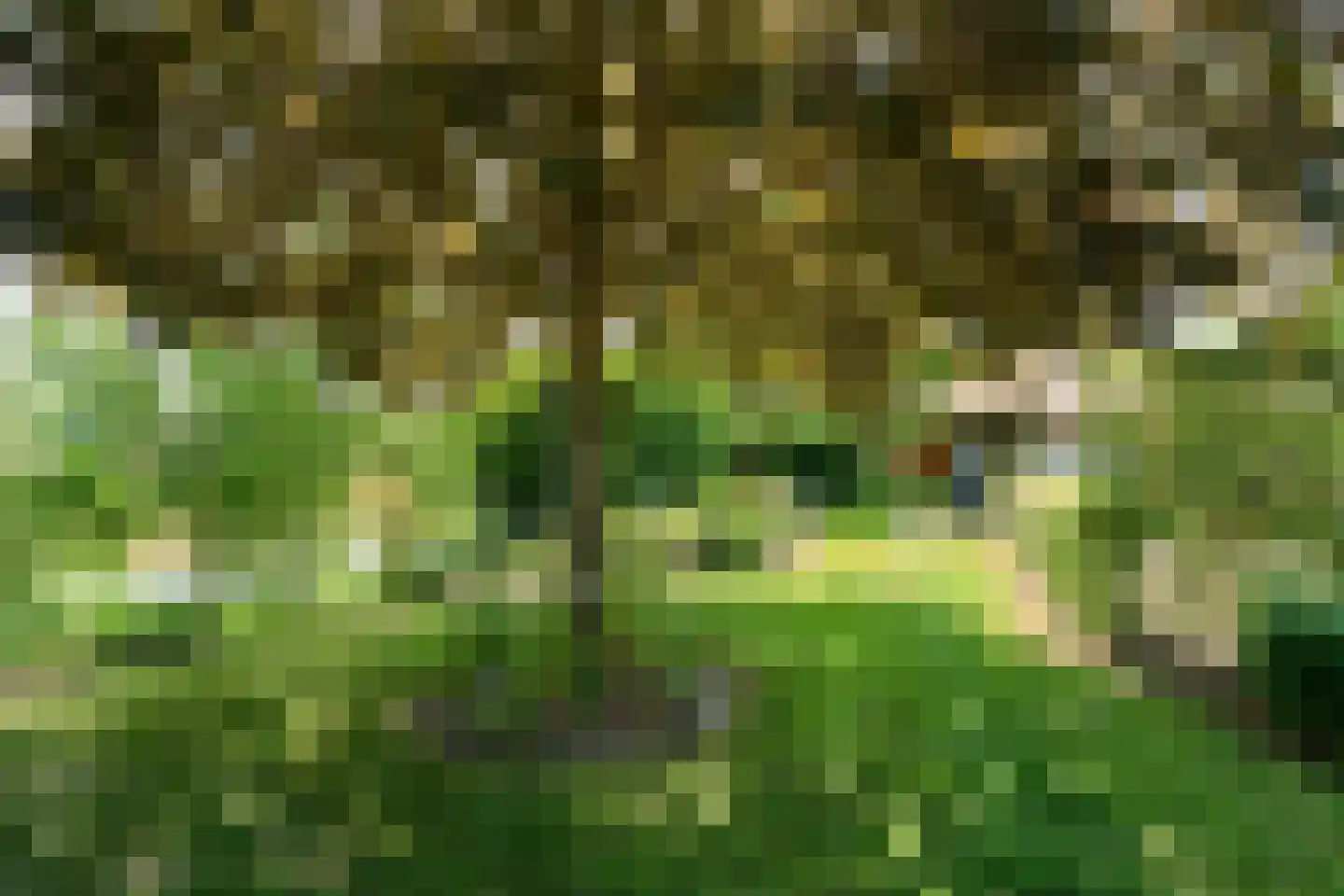 Roomsterweg 6 Leek thumbnail 48