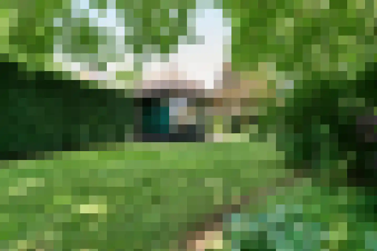 Roomsterweg 6 Leek thumbnail 49