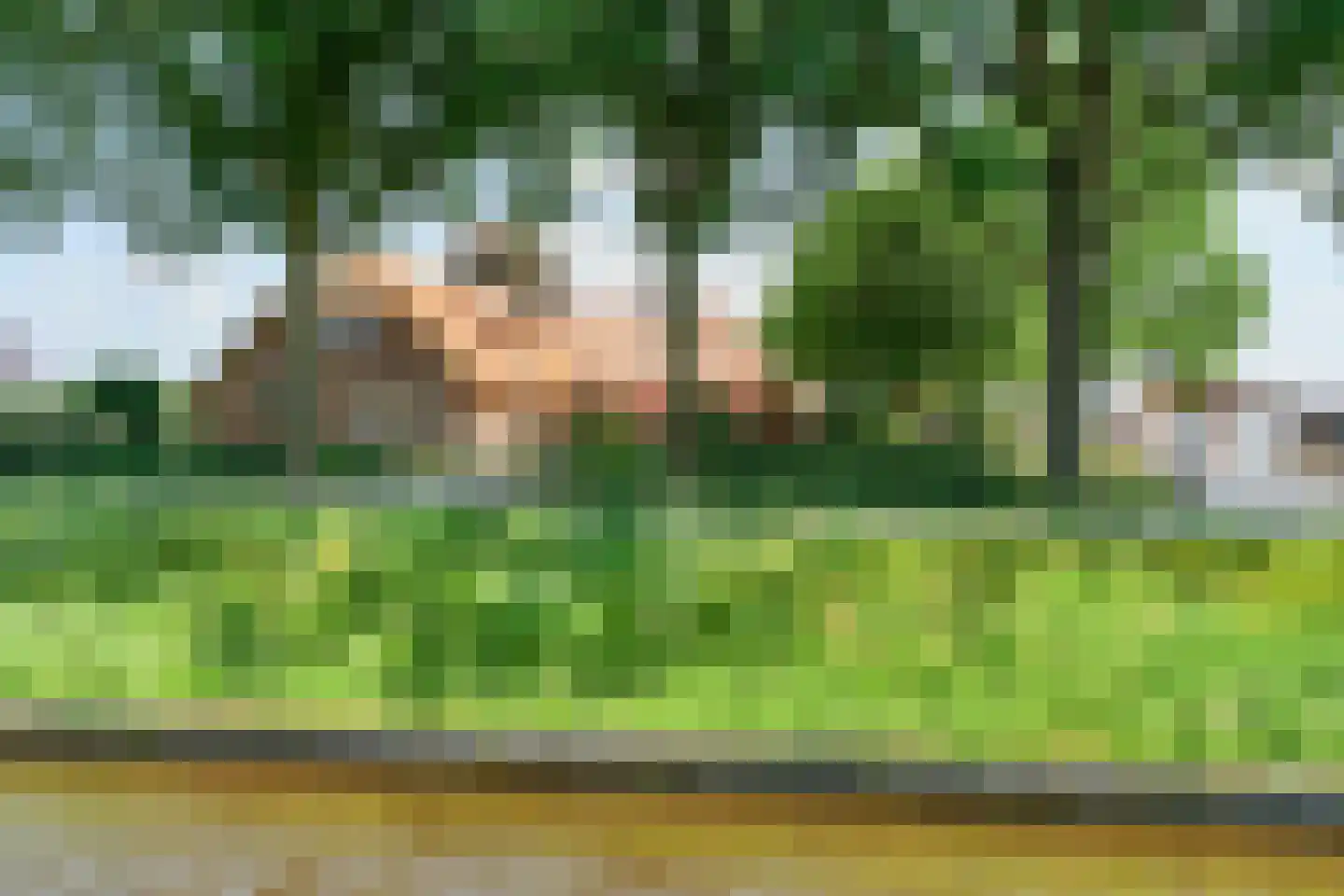 Roomsterweg 6 Leek thumbnail 55