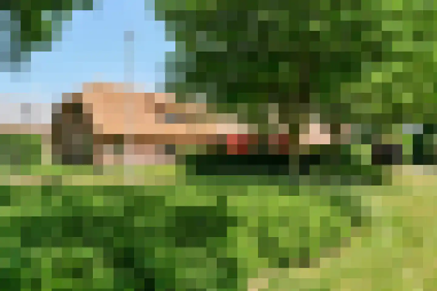 Roomsterweg 6 Leek thumbnail 6