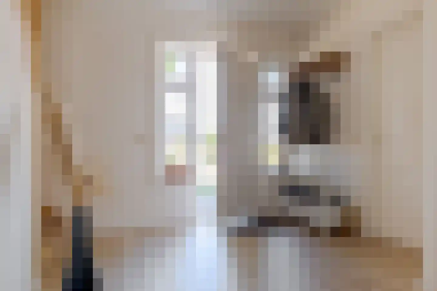 Roomsterweg 7 Leek thumbnail 12