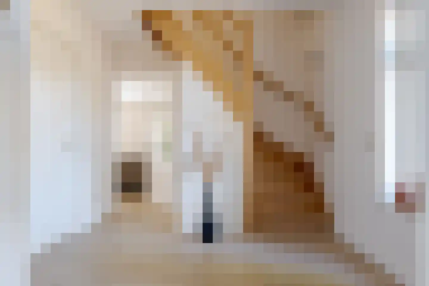 Roomsterweg 7 Leek thumbnail 13