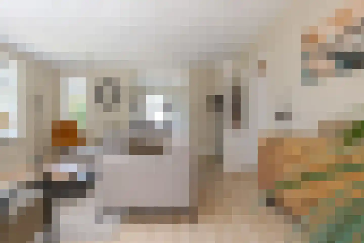 Roomsterweg 7 Leek thumbnail 14