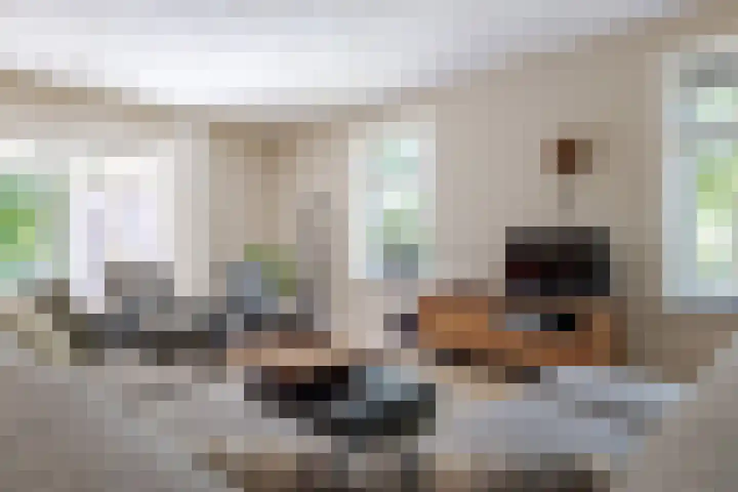 Roomsterweg 7 Leek thumbnail 15