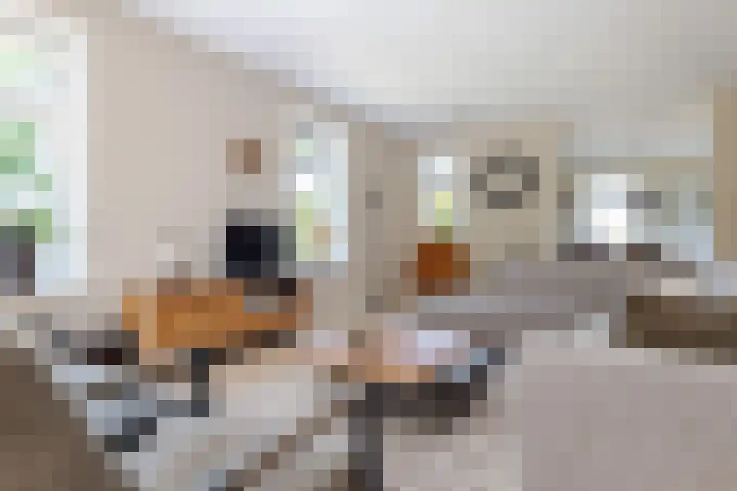 Roomsterweg 7 Leek thumbnail 17