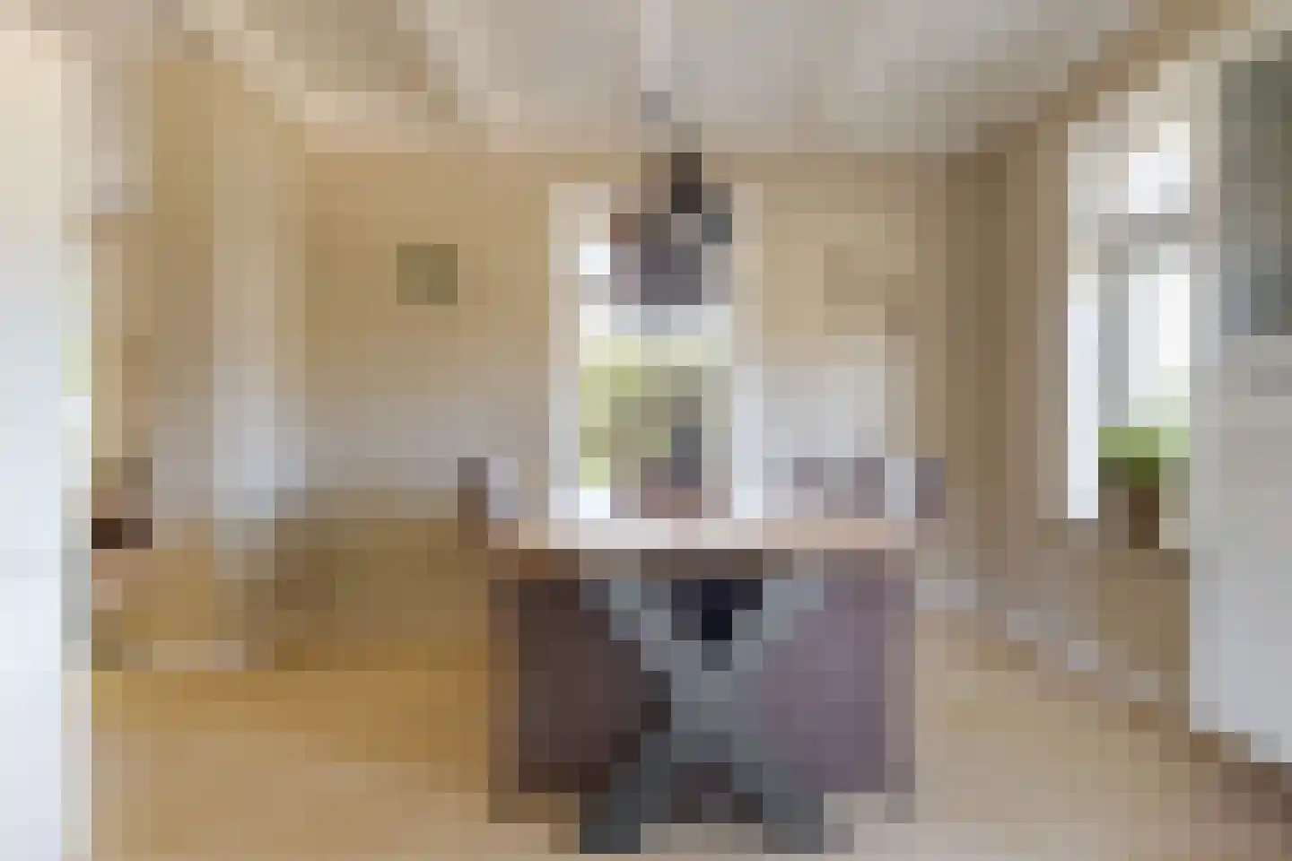 Roomsterweg 7 Leek thumbnail 21