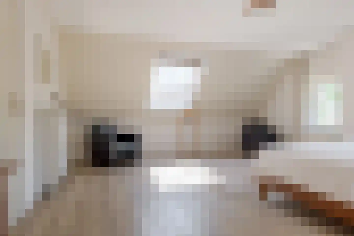 Roomsterweg 7 Leek thumbnail 36