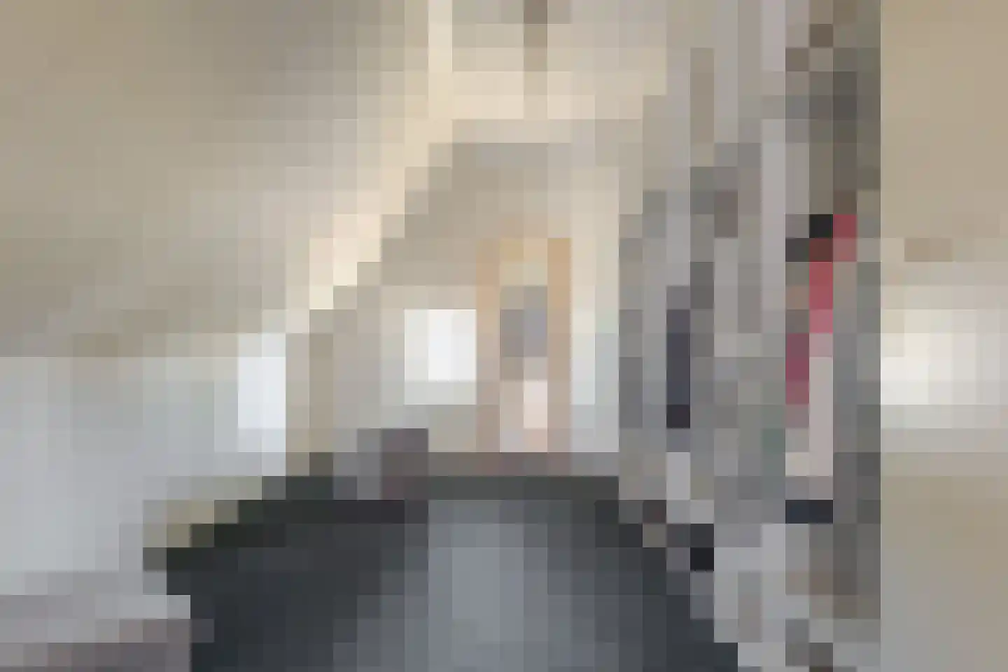 Roomsterweg 7 Leek thumbnail 38