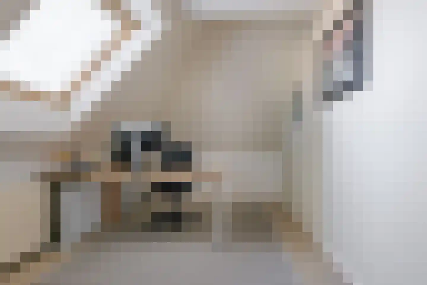 Roomsterweg 7 Leek thumbnail 46