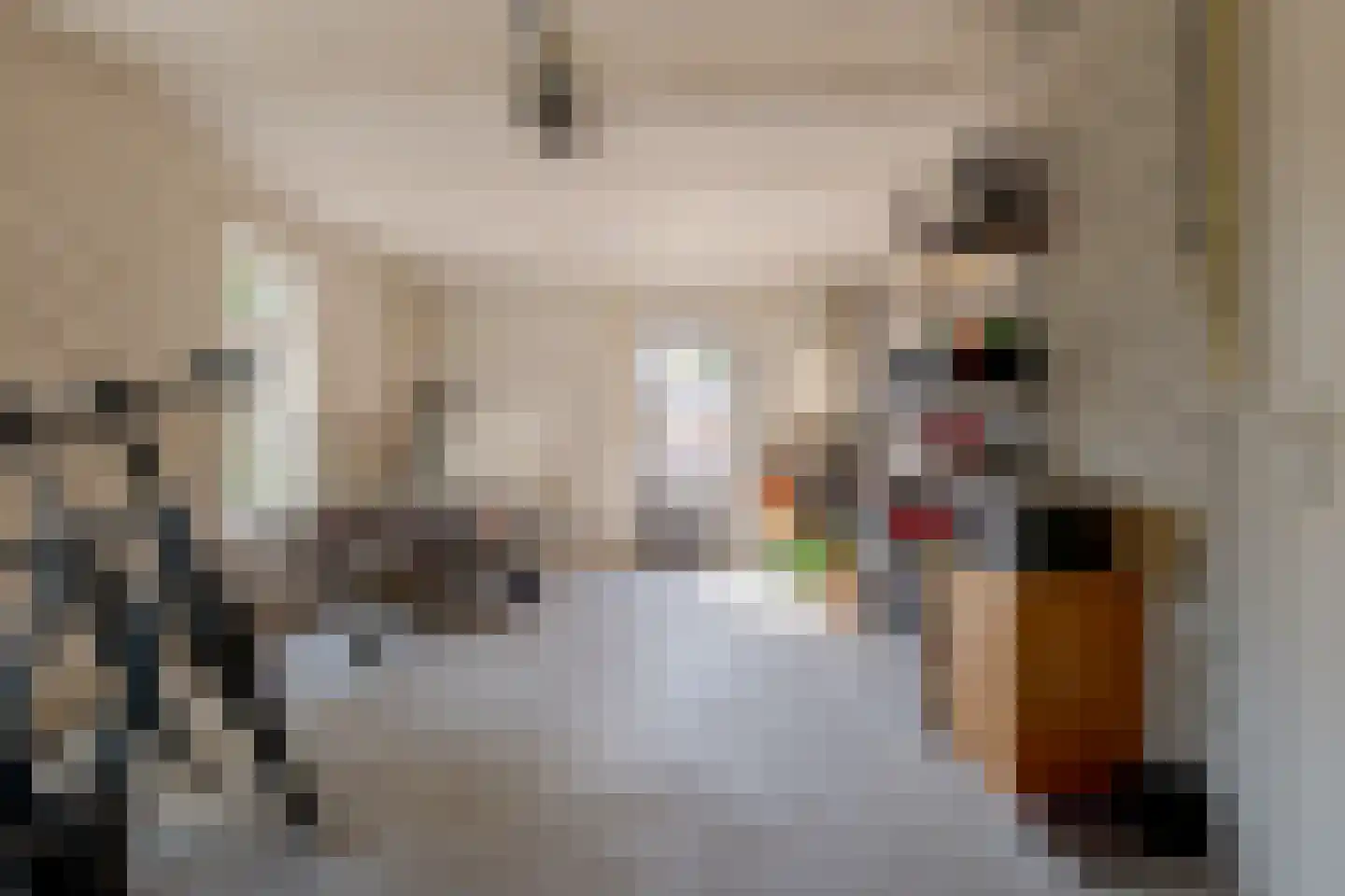 Roomsterweg 7 Leek thumbnail 48