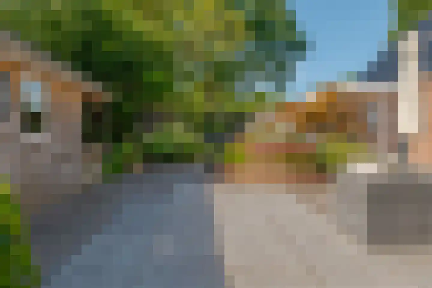 Roomsterweg 7 Leek thumbnail 50