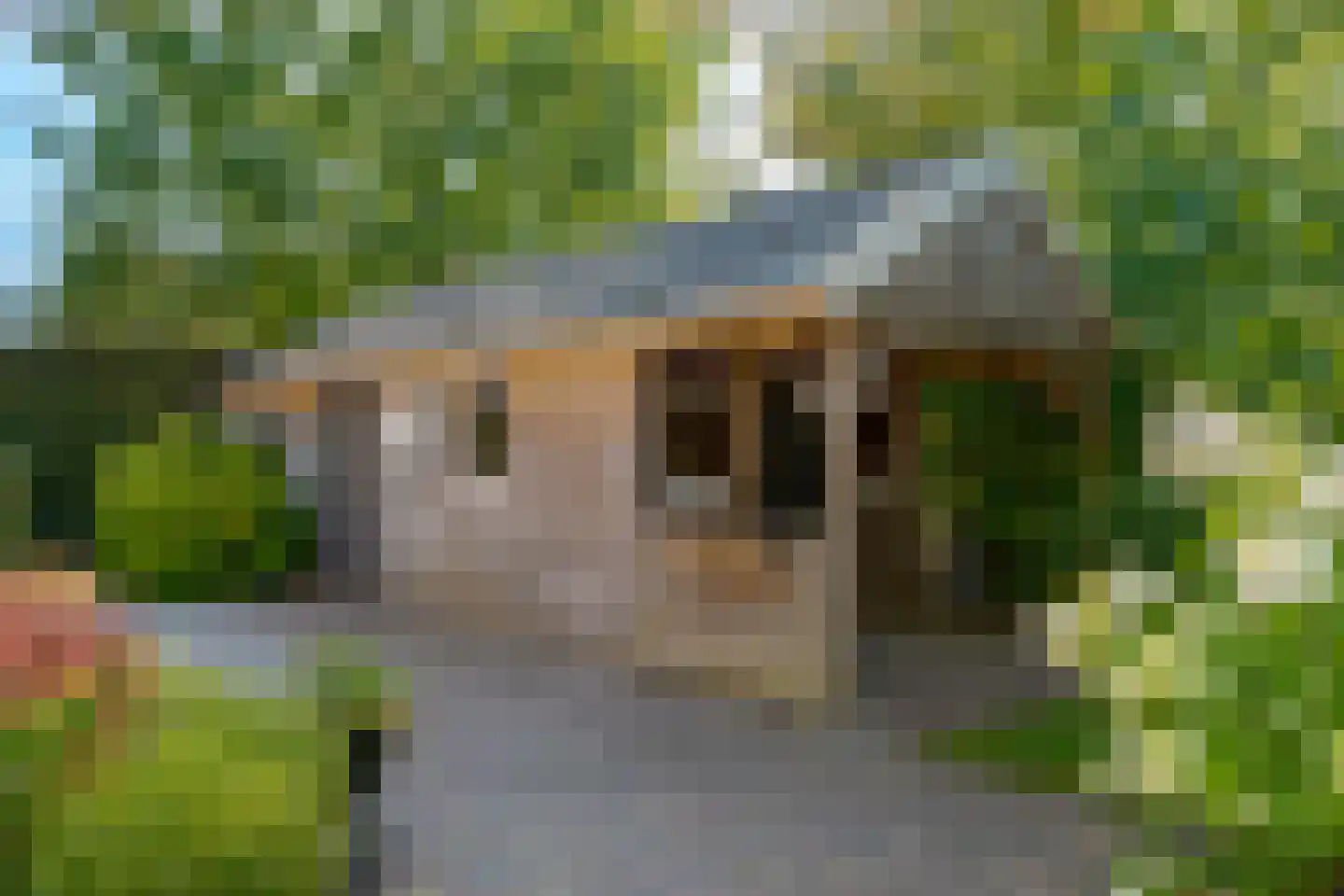 Roomsterweg 7 Leek thumbnail 52