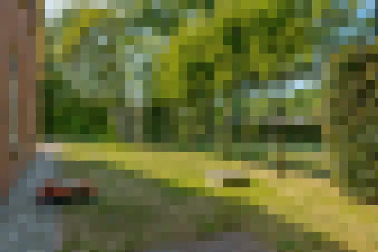 Roomsterweg 7 Leek thumbnail 55