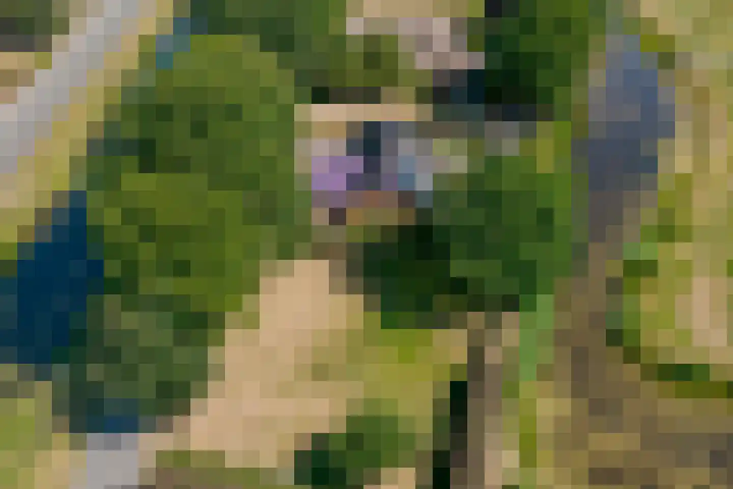 Roomsterweg 7 Leek thumbnail 62