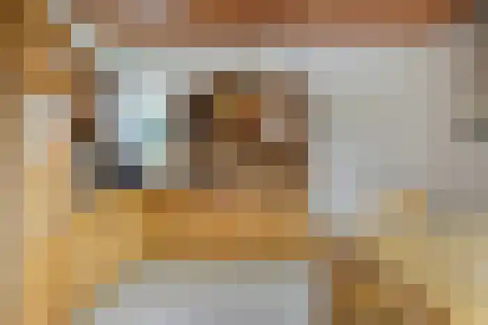 Roomsterweg 8 Leek thumbnail 12