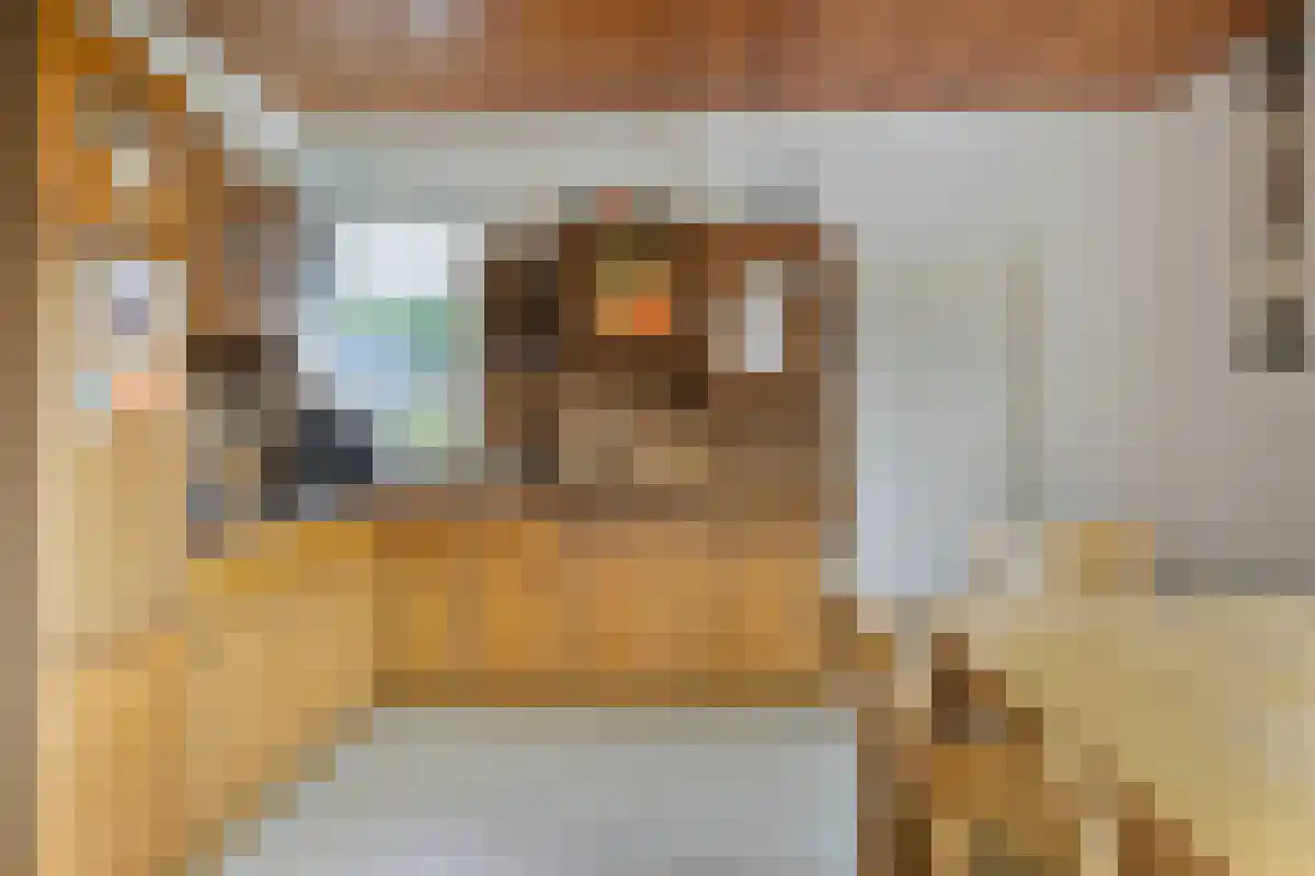 Roomsterweg 8 Leek thumbnail 6