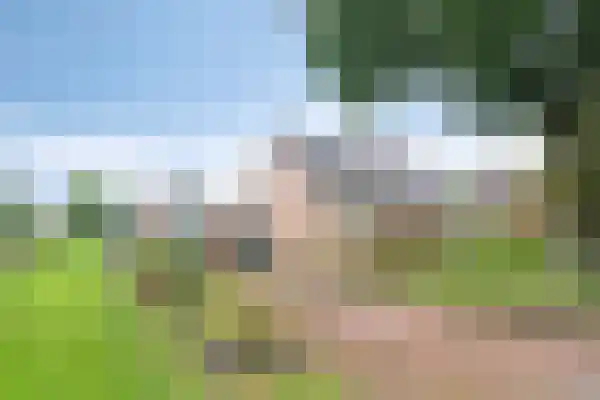 Roomsterweg 8 Leek thumbnail 7